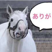 ヒメ日記 2026/04/02 00:50 投稿 りい 即トク奥さん