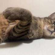 ヒメ日記 2026/04/07 21:41 投稿 りい 即トク奥さん