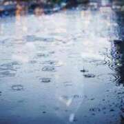 ヒメ日記 2026/03/03 09:40 投稿 ゆきな 熟女家 十三店