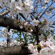 ヒメ日記 2026/03/30 22:41 投稿 ゆきな 熟女家 十三店