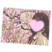 ヒメ日記 2026/03/15 10:42 投稿 鈴蘭　メアリ アムアージュ