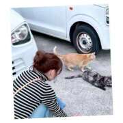 ヒメ日記 2026/03/27 07:51 投稿 鈴蘭　メアリ アムアージュ