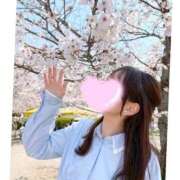 ヒメ日記 2026/04/04 14:42 投稿 鈴蘭　メアリ アムアージュ