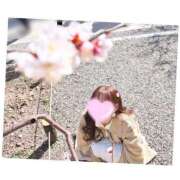 ヒメ日記 2026/04/29 08:28 投稿 鈴蘭　メアリ アムアージュ