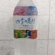 ヒメ日記 2026/06/11 19:41 投稿 佐々木さくら NADIA京都店