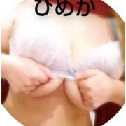 ヒメ日記 2026/03/01 19:46 投稿 月島　ひめか しこたま奥様 札幌店