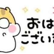 ヒメ日記 2026/03/21 08:30 投稿 月島　ひめか しこたま奥様 札幌店
