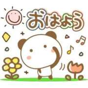 ヒメ日記 2026/04/09 08:06 投稿 月島　ひめか しこたま奥様 札幌店