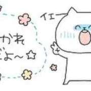 ヒメ日記 2026/08/02 19:25 投稿 月島　ひめか しこたま奥様 札幌店