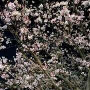 ヒメ日記 2026/03/04 00:44 投稿 のあ kazusa素人学園　木更津店