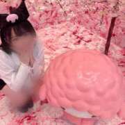 ヒメ日記 2026/03/08 02:43 投稿 あむ One More 奥様　錦糸町店