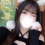 笹森ひそか たくさん♡ ブルーバード