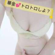 ヒメ日記 2026/05/16 01:51 投稿 ゆに One More 奥様　西船橋店