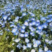 ヒメ日記 2026/07/17 18:04 投稿 舞雪-まゆき- 人妻倶楽部 花椿大崎店