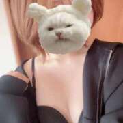 じぜる 桜花 密着体温37.5℃