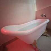 ヒメ日記 2026/03/08 11:41 投稿 なな 桜色学園