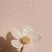 ヒメ日記 2026/04/14 06:52 投稿 いおり kazusa素人学園　木更津店