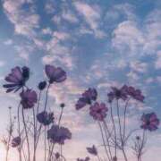 ヒメ日記 2026/04/21 12:28 投稿 いおり kazusa素人学園　木更津店