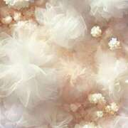 ヒメ日記 2026/03/06 21:02 投稿 新人・香澄(かすみ) グランドオペラ福岡