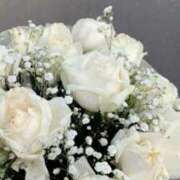 ヒメ日記 2026/03/03 15:14 投稿 日向(ひなた) グランドオペラ福岡