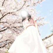 ヒメ日記 2026/03/14 09:55 投稿 日向(ひなた) グランドオペラ福岡