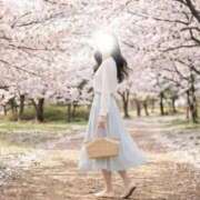 ヒメ日記 2026/03/15 10:21 投稿 日向(ひなた) グランドオペラ福岡