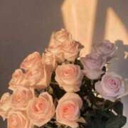 ヒメ日記 2026/03/18 18:21 投稿 日向(ひなた) グランドオペラ福岡