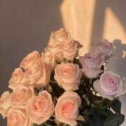 ヒメ日記 2026/03/31 14:41 投稿 日向(ひなた) グランドオペラ福岡