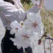 ヒメ日記 2026/04/04 10:29 投稿 日向(ひなた) グランドオペラ福岡