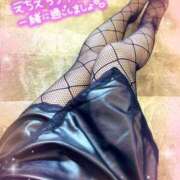 ヒメ日記 2026/03/04 02:38 投稿 ゆず Salon du M-えっちなお姉さんのM性感デリバリー-五反田店