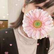 ヒメ日記 2026/03/20 16:06 投稿 NANASE Salvador (サルバドール)