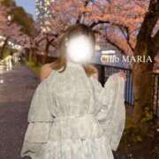 ヒメ日記 2026/04/05 00:42 投稿 綾芽【アヤメ】 club MARIA(大阪)