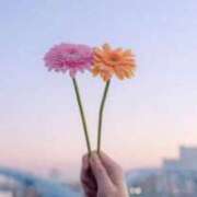 ヒメ日記 2026/03/06 17:09 投稿 ななみ 東京メンズボディクリニック TMBC 秋葉原店