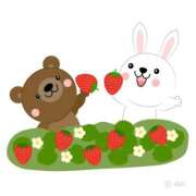 ヒメ日記 2026/03/11 10:59 投稿 ななみ 東京メンズボディクリニック TMBC 秋葉原店