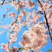 ヒメ日記 2026/04/05 23:59 投稿 ななみ 東京メンズボディクリニック TMBC 秋葉原店