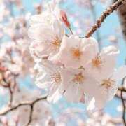 ヒメ日記 2026/03/11 14:02 投稿 ゆあ 仙台回春性感マッサージ倶楽部