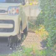 ヒメ日記 2026/03/12 13:08 投稿 ゆあ 仙台回春性感マッサージ倶楽部