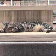 ヒメ日記 2026/03/16 13:32 投稿 ゆあ 仙台回春性感マッサージ倶楽部