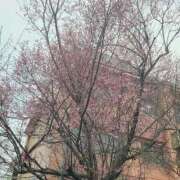 ヒメ日記 2026/03/28 12:22 投稿 ゆあ 仙台回春性感マッサージ倶楽部