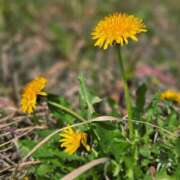 ヒメ日記 2026/04/04 16:18 投稿 ゆあ 仙台回春性感マッサージ倶楽部