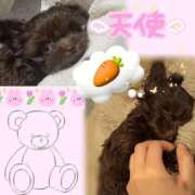 ヒメ日記 2026/04/30 06:06 投稿 サラ ロボットデリヘル