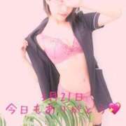 ヒメ日記 2026/03/21 21:50 投稿 ひまり 横浜ミセスアロマ（ユメオト）