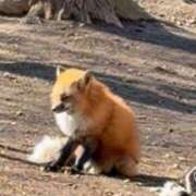 ヒメ日記 2026/03/06 15:11 投稿 月野ひなみ 皇帝別館（こうていべっかん）