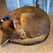 ヒメ日記 2026/03/27 22:53 投稿 ふう 人妻倶楽部 内緒の関係 越谷店