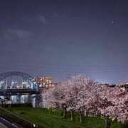 ヒメ日記 2026/04/07 10:20 投稿 みち ニューヨークニューヨーク