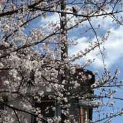 ヒメ日記 2026/04/09 22:15 投稿 みち ニューヨークニューヨーク