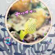 ヒメ日記 2026/05/02 21:16 投稿 みち ニューヨークニューヨーク