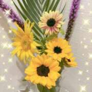みち 夏〜☀️🌻✨ ニューヨークニューヨーク