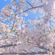 ヒメ日記 2026/04/13 12:04 投稿 りあん 熟女の風俗最終章 新宿店