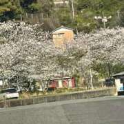 ヒメ日記 2026/04/06 15:02 投稿 まいこ☆ 豊橋豊川ちゃんこ